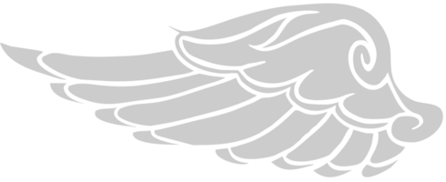 Wing bird vector
