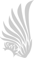 Wing bird vector