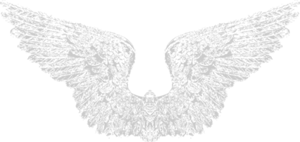 Wing vector