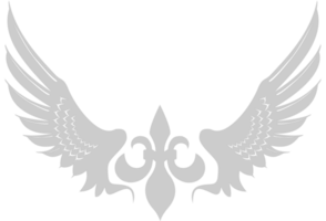 Wings heraldic vector