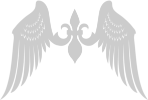 Wings heraldic vector