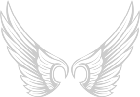 Wings tattoo vector