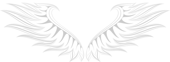 Wings tattoo vector