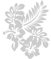 Flor Hibiscus vector