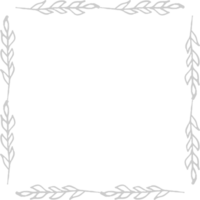 Frame vector