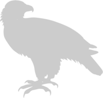 eagle vector