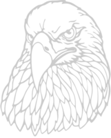 eagle head vector