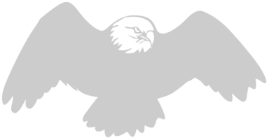 eagle vector