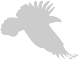 águila vector