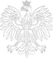 polish eagle vector