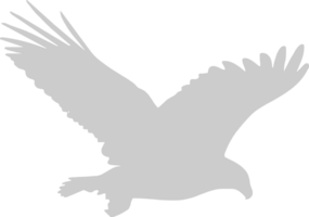 águila vector