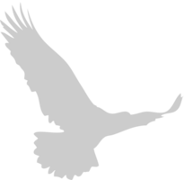 eagle vector