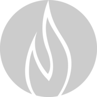 Flame Icon vector