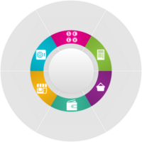 Circle infographic vector