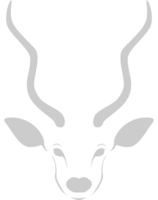 Kudu cabeza vector