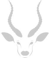 kudu head vector