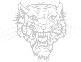 tiger head vector