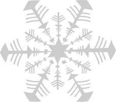 Snowflake vector