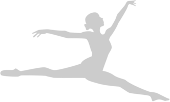 Dance vector