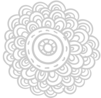 Spring vector
