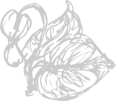 Spring vector