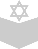 Torah vector