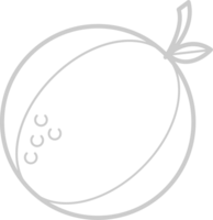 Fruit vector