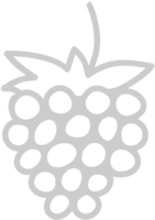 Fruit vector