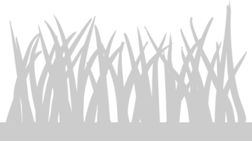 Grass vector