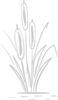 Cattails vector