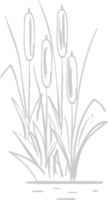 Cattails  vector