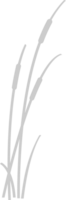 Cattails vector