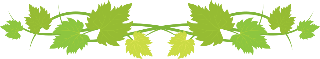 Ivy vine leaf decoration vector