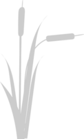 Cattails vector