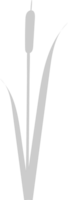 Cattails vector