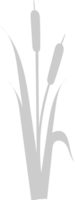 Cattails vector