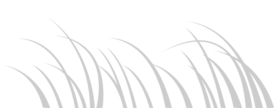 Grass vector