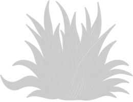 Aloe Plant vector