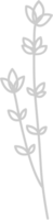 Flower vector