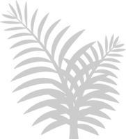 planta tropical vector