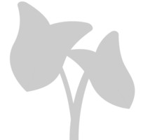 planta tropical vector
