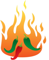 Super hot chilli vector