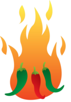 Super hot chilli vector