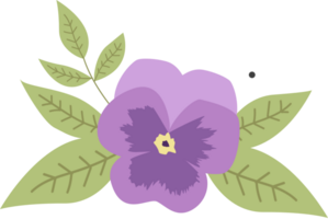 Pansy flower vector