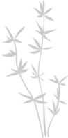 ilustración botánica vector