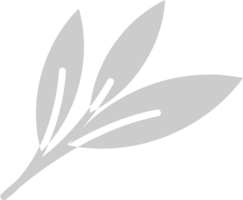 eucalipto vector