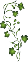 Summer flower vector