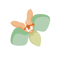 flor polinesia vector