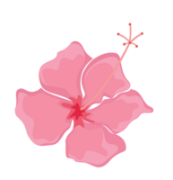 flor polinesia vector