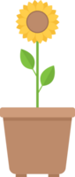 Flower pot vector